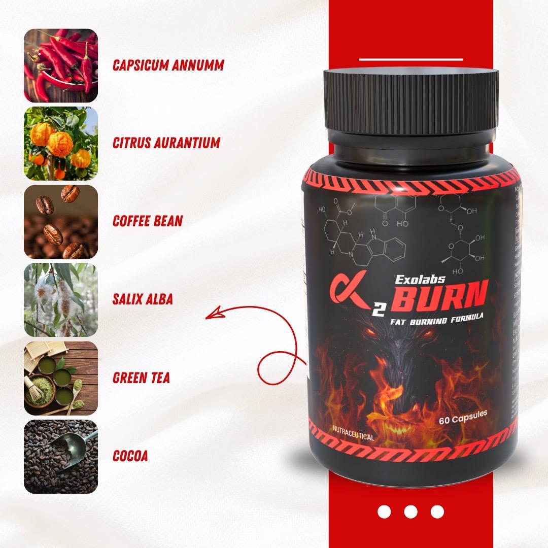 Exolabs Fat Burner | Weight Loss Supplement For Women & Men - Image 4